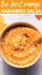 Easy Mango Habanero Salsa Recipe pin.